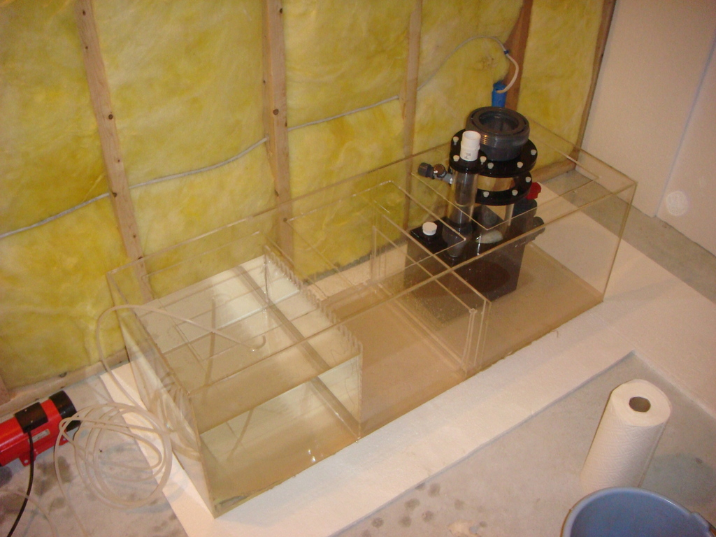 เครื่อง UV (UV Sterilizer) ในตู้ปลา: ตั้งอัตราการไหลยังไงให้ฆ่าน้ำเขียว แบคทีเรีย และพยาธิได้จริง